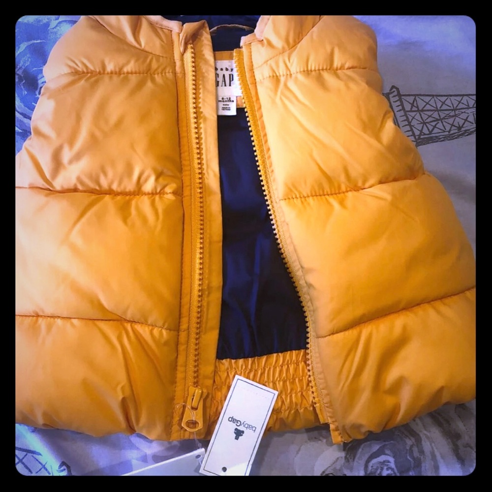Vest